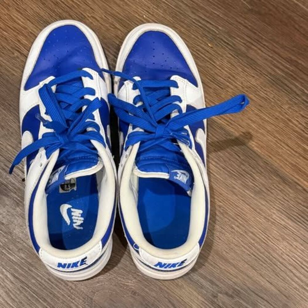 Nike Dunk Low Racer Blue Men's 8.5 (DD1391-401)